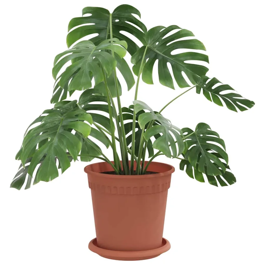 Pots de plantes 24 pcs Rouge brique Ø 17 x 14 cm Plastique - 3