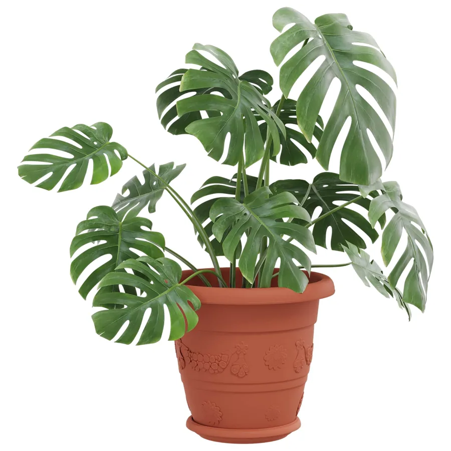 Pots de plantes 6 pcs Rouge brique Ø 22 x 18 cm Plastique - 3