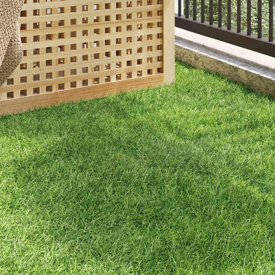 Gazon artificiel Vert 1 x 8 m / 50 mm PP & PE - 3