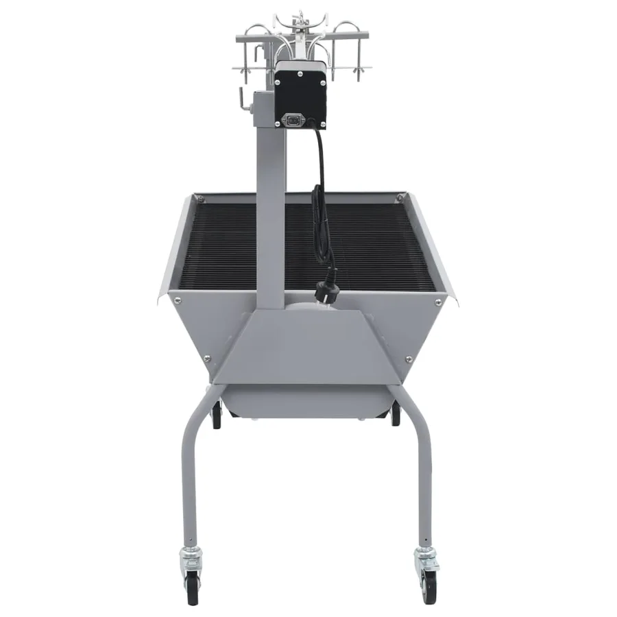Rôtissoire pour barbecue électrique Acier inoxydable - 3