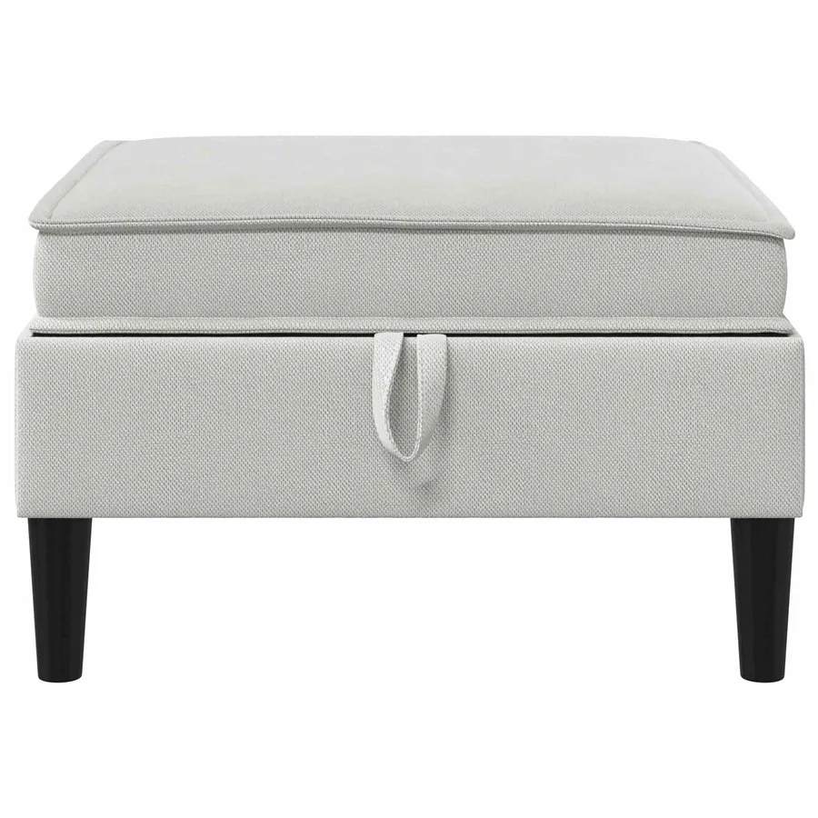 Pouf avec Rangement Gris clair Velours - 4