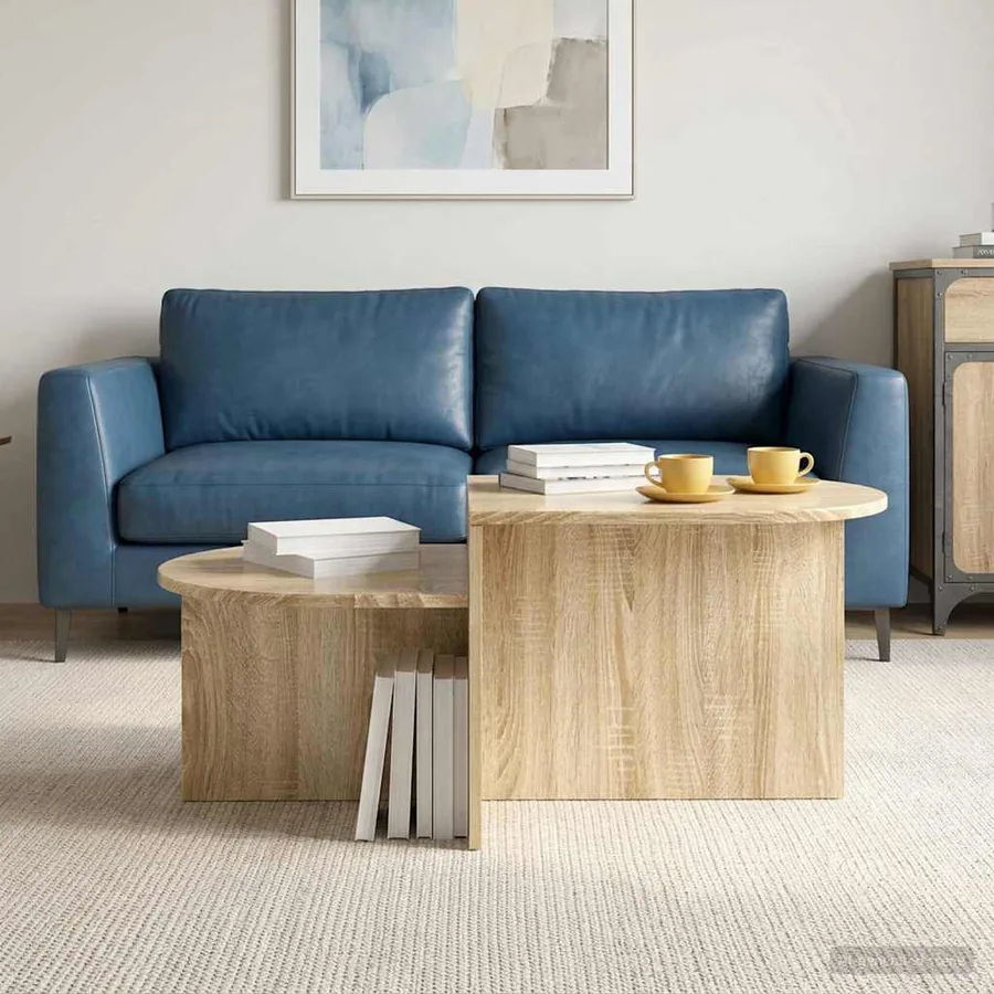 Table basse Chêne Sonoma 100 x 50 x 40 cm Bois d'ingénierie