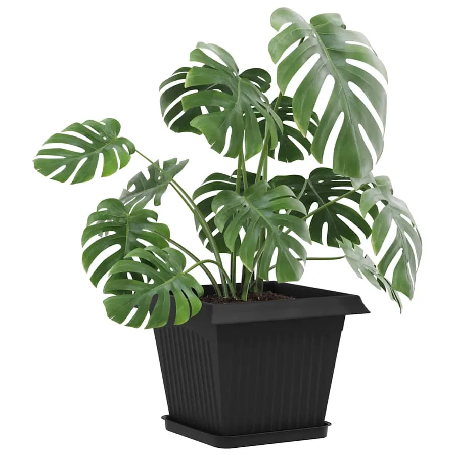 Plateau carré à fleurs 24 pcs Noir 21 x 21 x 2 cm Plastique - 3