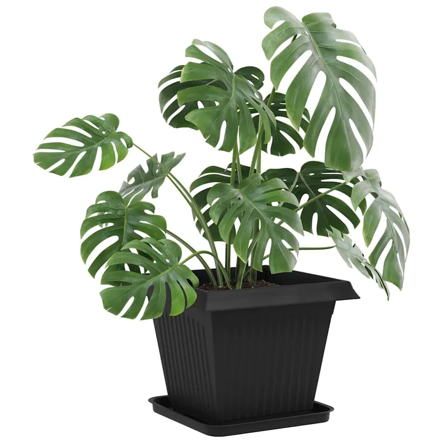 Plateau carré à fleurs 24 pcs Noir 32 x 32 x 2,5 cm Plastique - 3