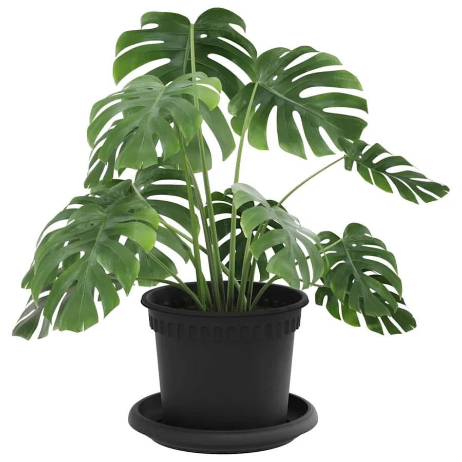 Pots de plantes 6 pcs Noir Ø 12,5 x 10 cm Plastique - 3