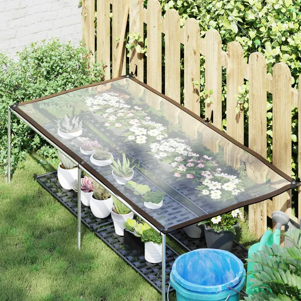 Couverture pour plantes Transparent 2,5 x 1 m PE