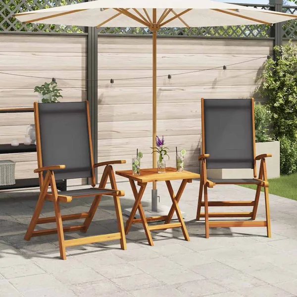 Chaises pliables de jardin lot de 2 Bois d'acacia et textilène