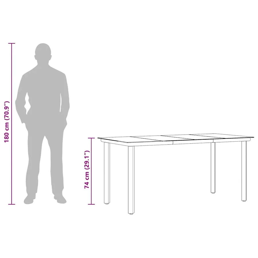 Table à dîner de jardin Noir 160x80x74 cm Acier et verre trempé - 10