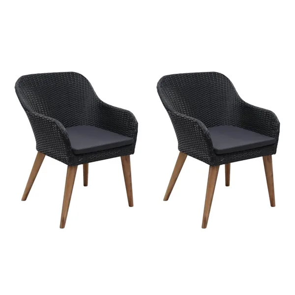 Chaises d'extérieur lot de 2 avec coussins Résine tressée Noir