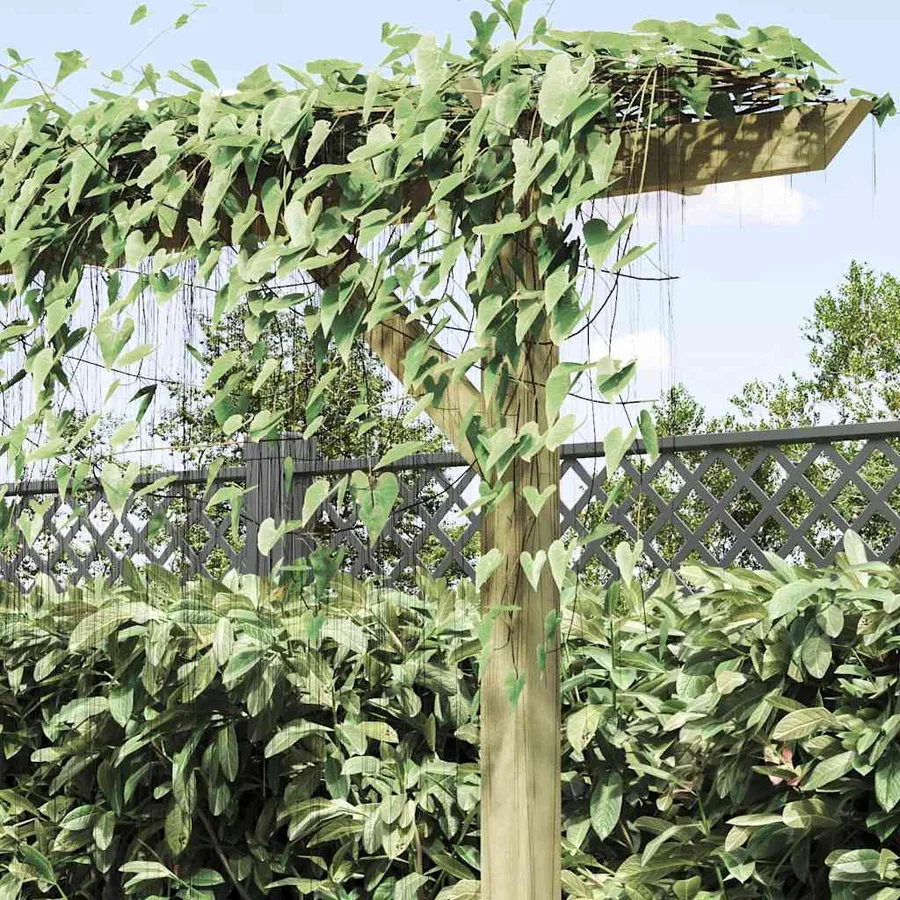 Pergola de jardin 205 x 40 x 203 cm Bois - 4