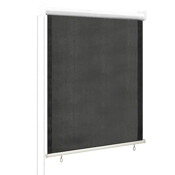 Store roulant d'extérieur 65 (l) x 140 (H) cm anthracite