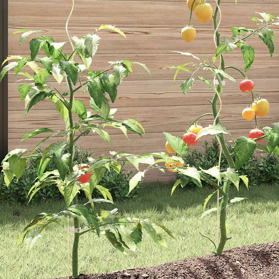 Supports de plantes en spirale 5 pcs Acier galvanisé 170 cm - 4