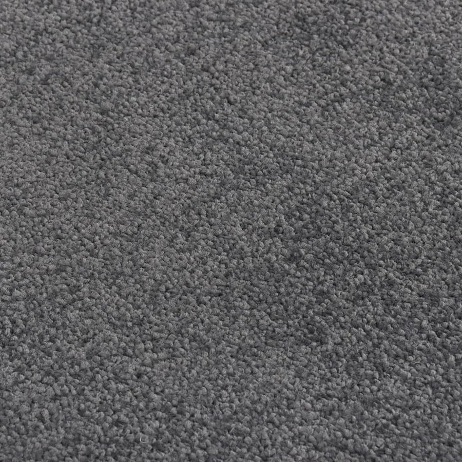 Paillasson Anthracite 80x120 cm - 5