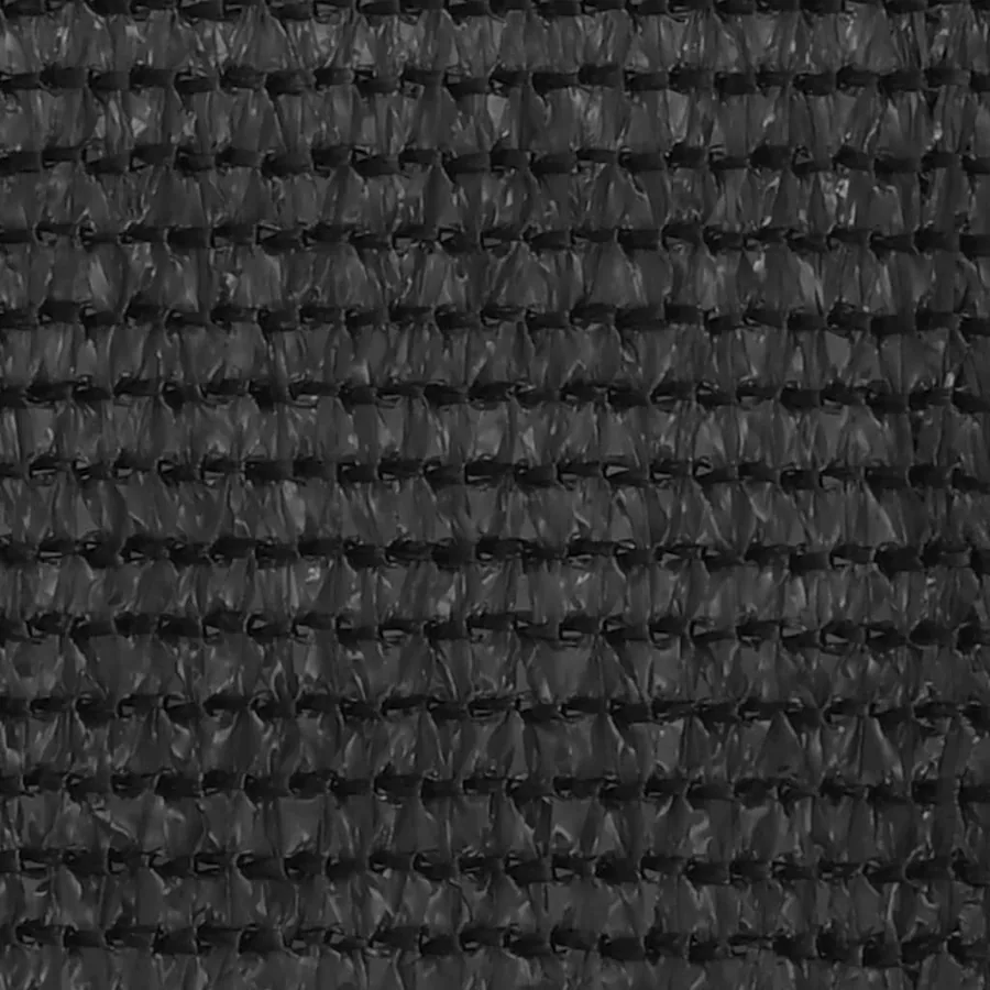 Écran de balcon Anthracite 120x300 cm PEHD - 2