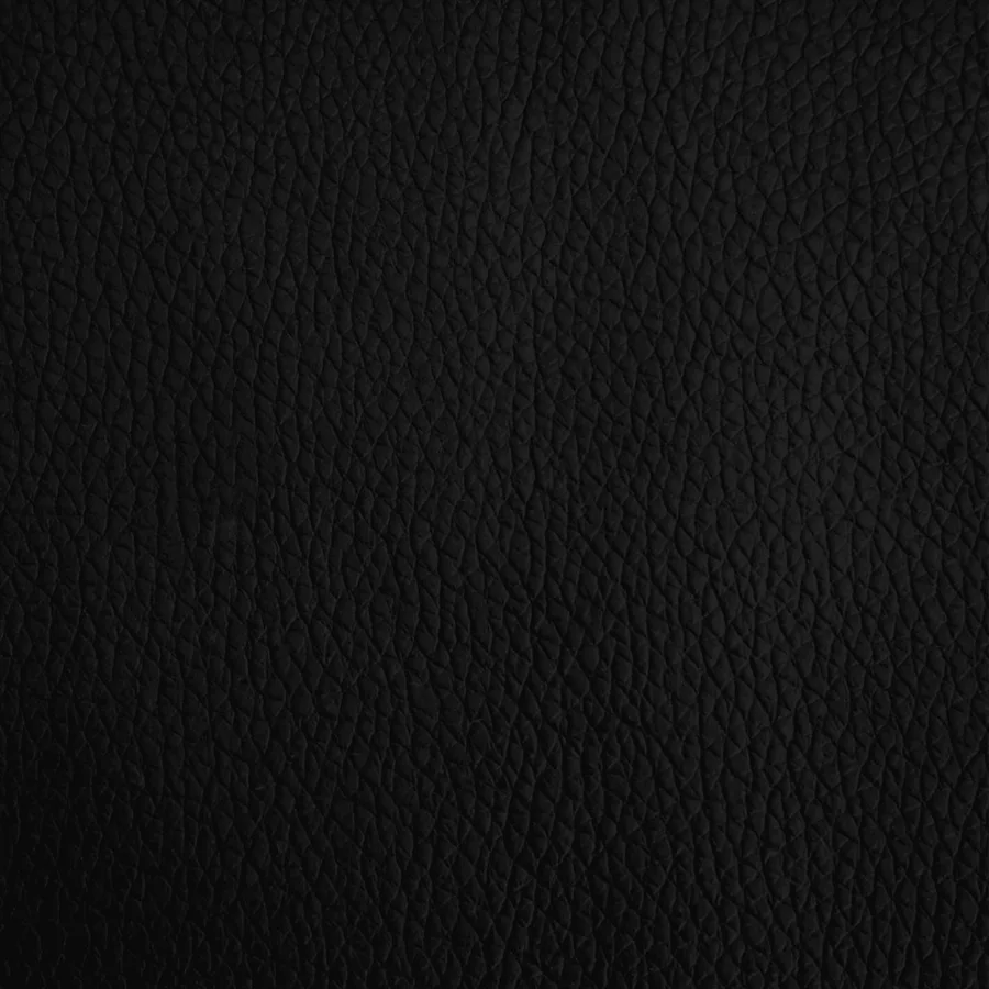 Lit pour chien noir 60x40x30 cm similicuir - 6