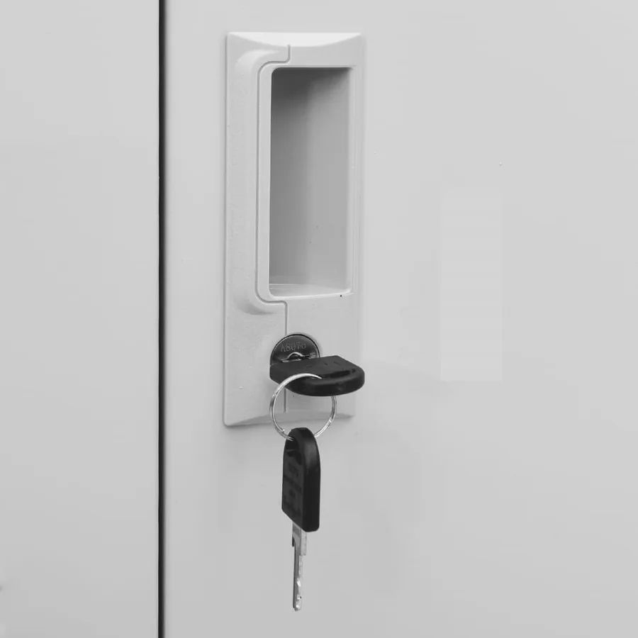 Armoire à casiers Gris clair 90x45x92,5 cm Acier - 6