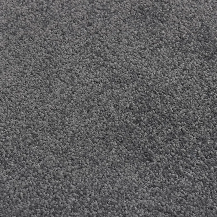 Paillasson Anthracite 60x80 cm - 5