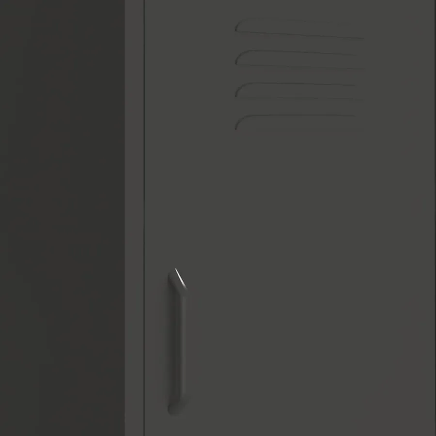 Armoire de rangement Anthracite 42,5x35x101,5 cm Acier - 7