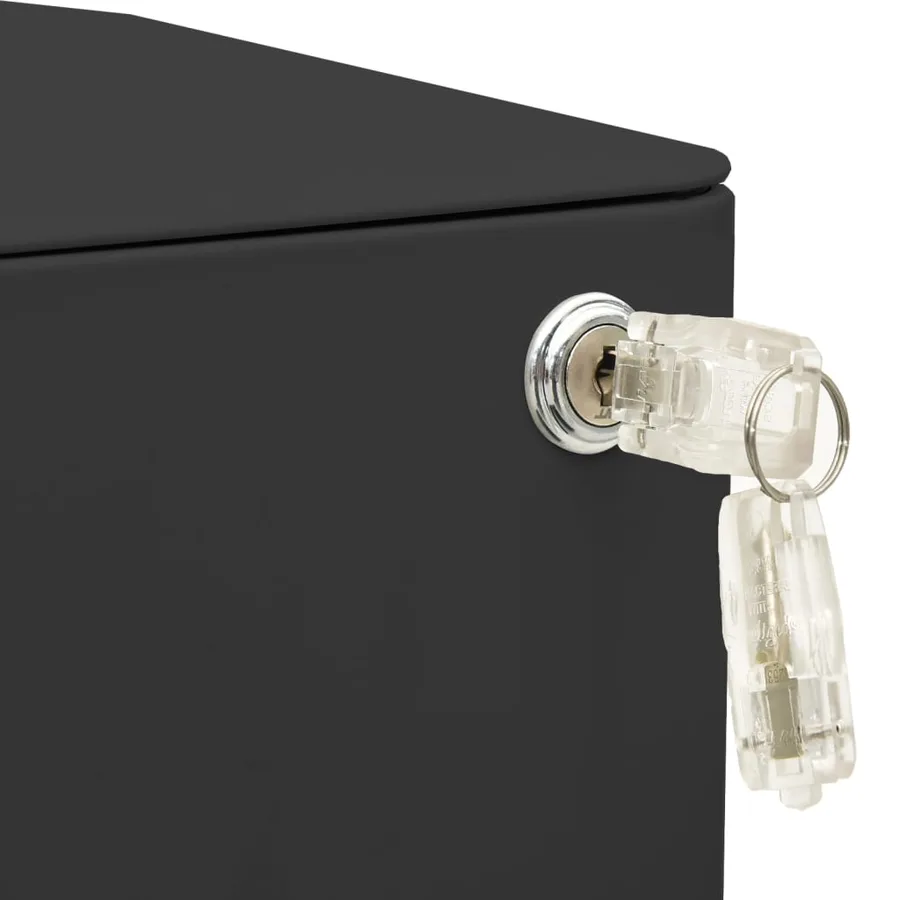 Classeur mobile Anthracite 30x45x59 cm Acier - 11