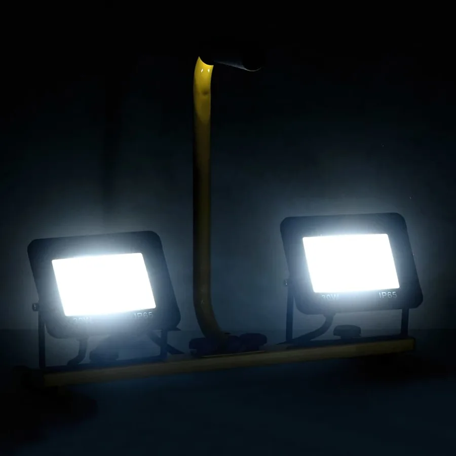 Projecteur à LED avec poignée 2x30 W Blanc froid - 2