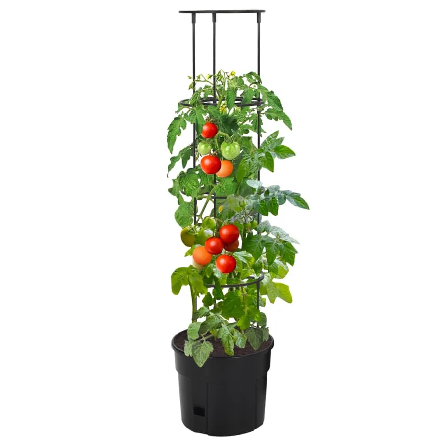 Jardinière à tomate Anthracite Ø29,5x115 cm Polypropylène - 2