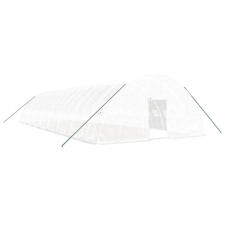 Serre avec cadre en acier blanc 96 m² 16x6x2,85 m - 2