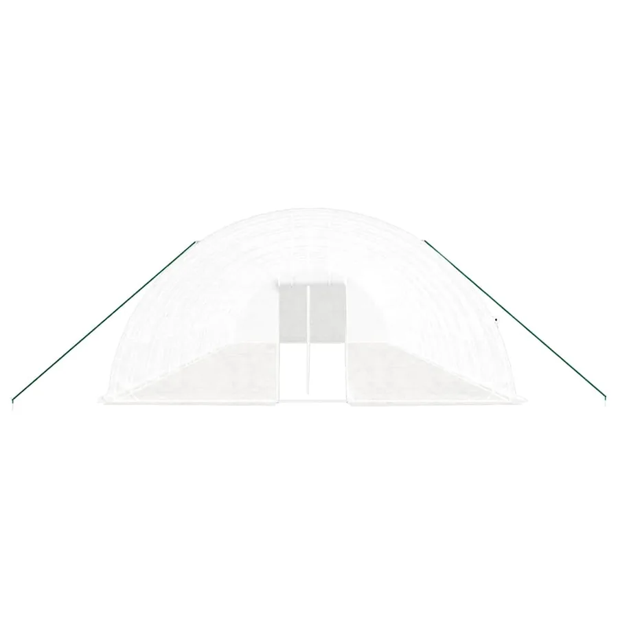 Serre avec cadre en acier blanc 96 m² 16x6x2,85 m - 4
