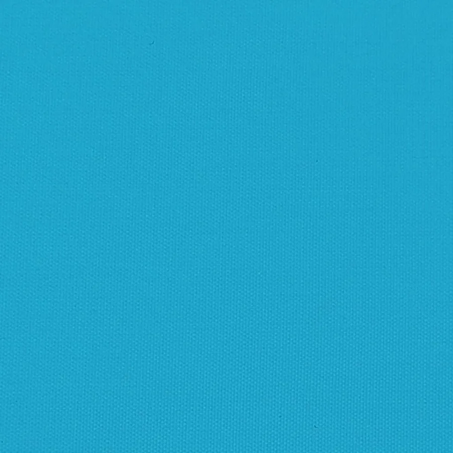 Remorque de vélo pour animaux de compagnie bleu - 12