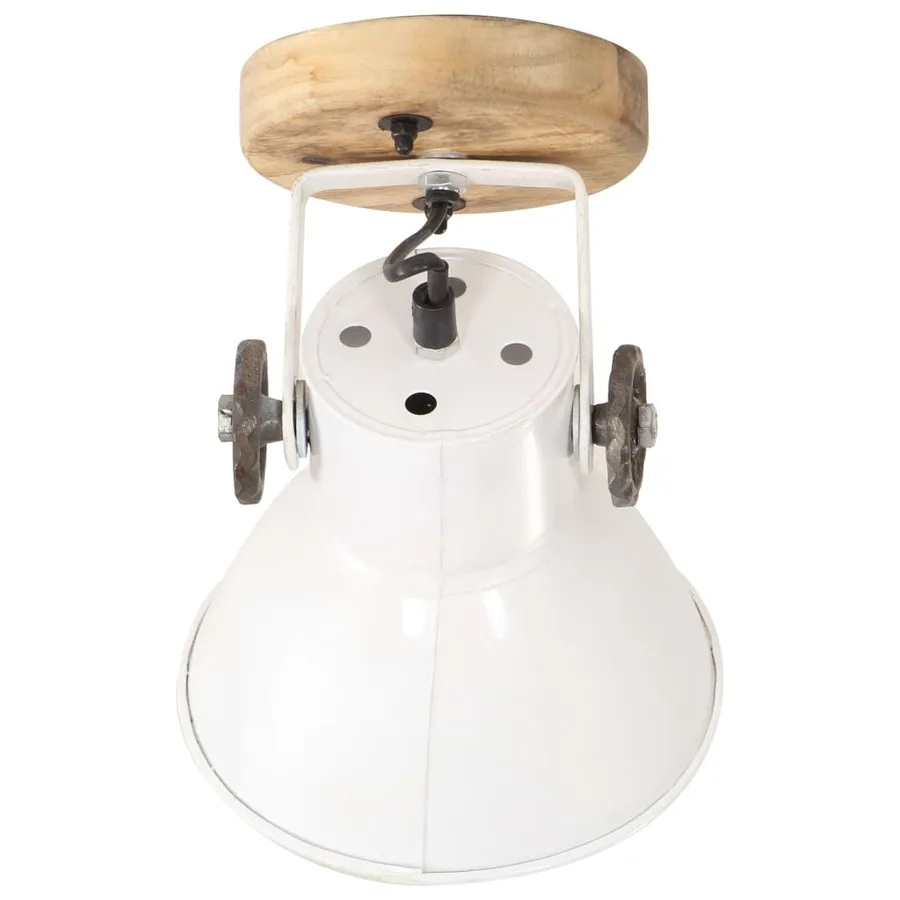 Lampe murale industrielle/de plafond 2 pcs Blanc 20x25 cm E27 - 5