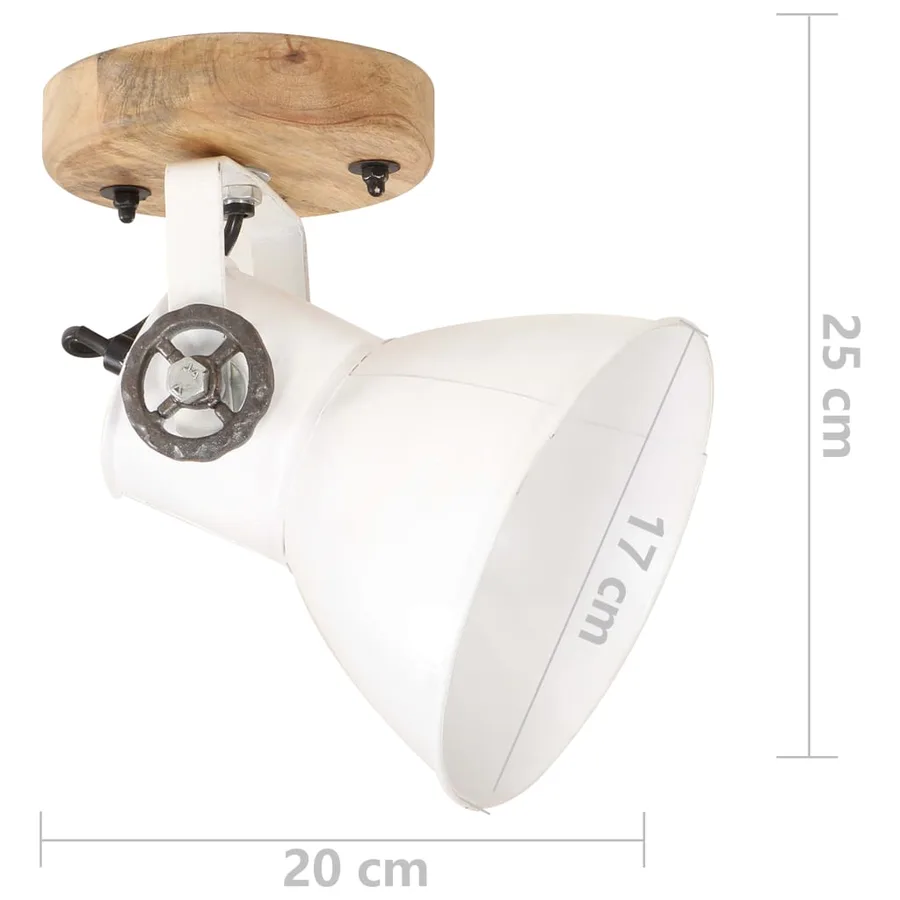 Lampe murale industrielle/de plafond 2 pcs Blanc 20x25 cm E27 - 9