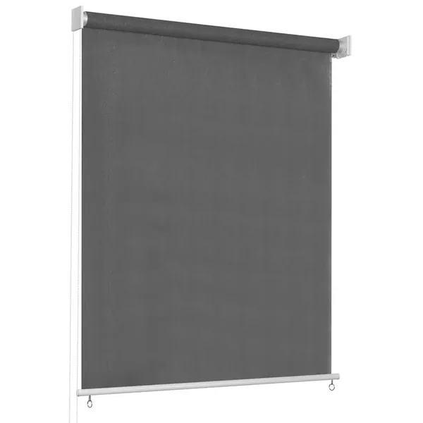 Store roulant d'extérieur 65 (l) x 230 (H) cm anthracite