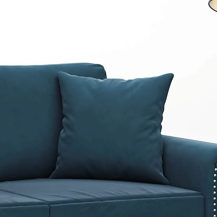 Coussins décoratifs lot de 2 Bleu 40x40 cm Velours - 5