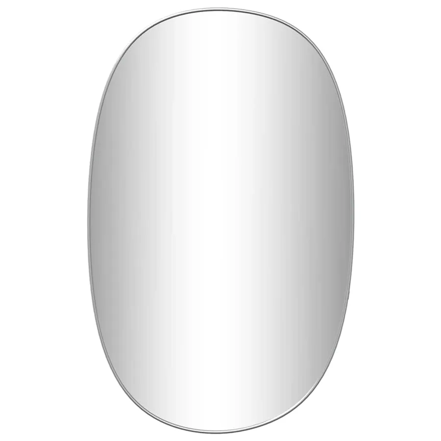 Miroir mural Argenté 70x45 cm - 2