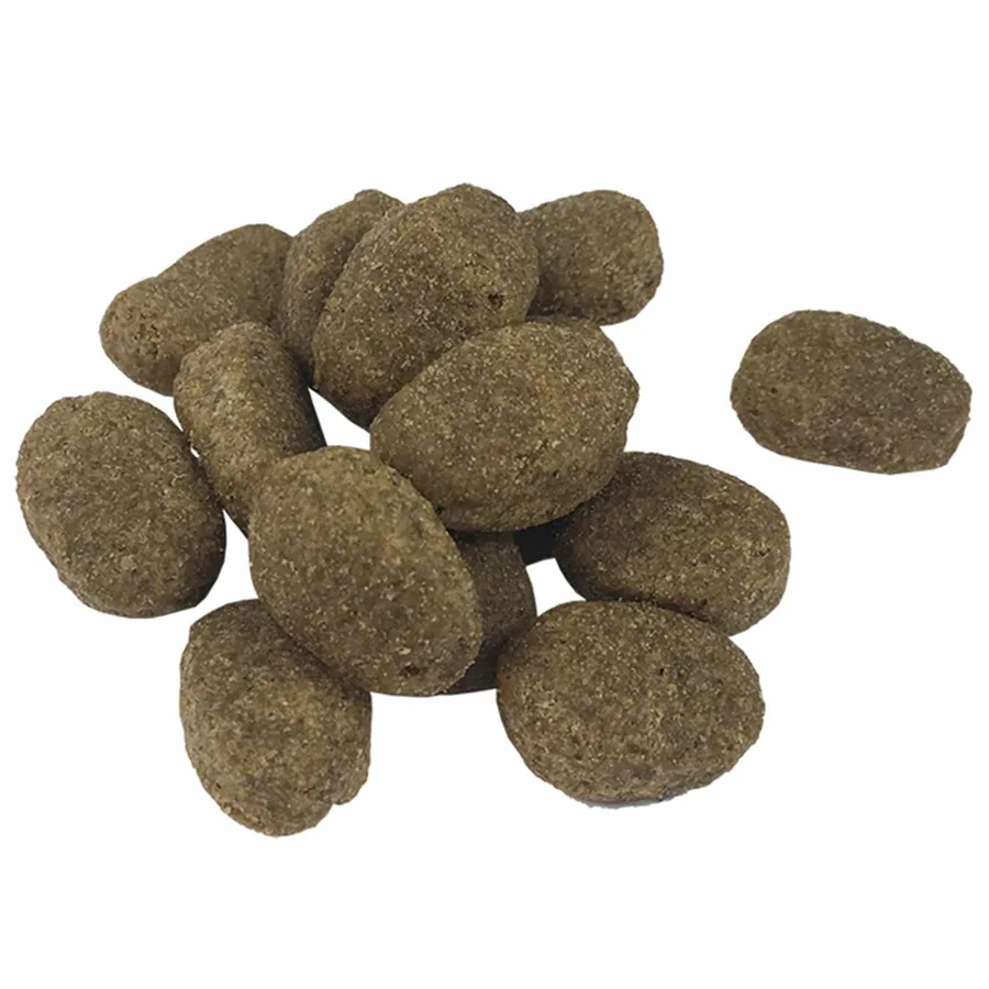 Support de nourriture et bol avec nourriture pour chien - 7