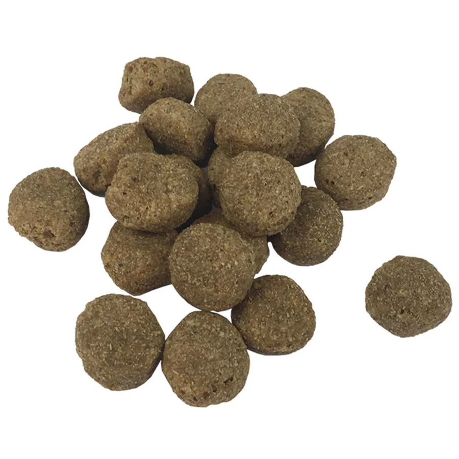 Support de nourriture et bol avec nourriture pour chien - 7