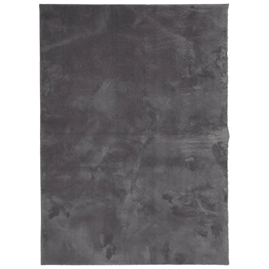 Tapis HUARTE à poils courts doux lavable anthracite 120x170 cm - 2