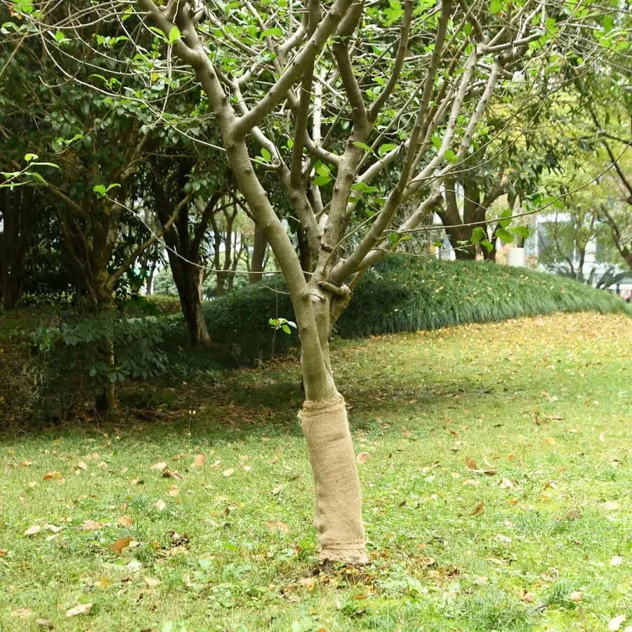 Rouleau de jute 0,5 x 5 m 100 % jute 200 g/m²